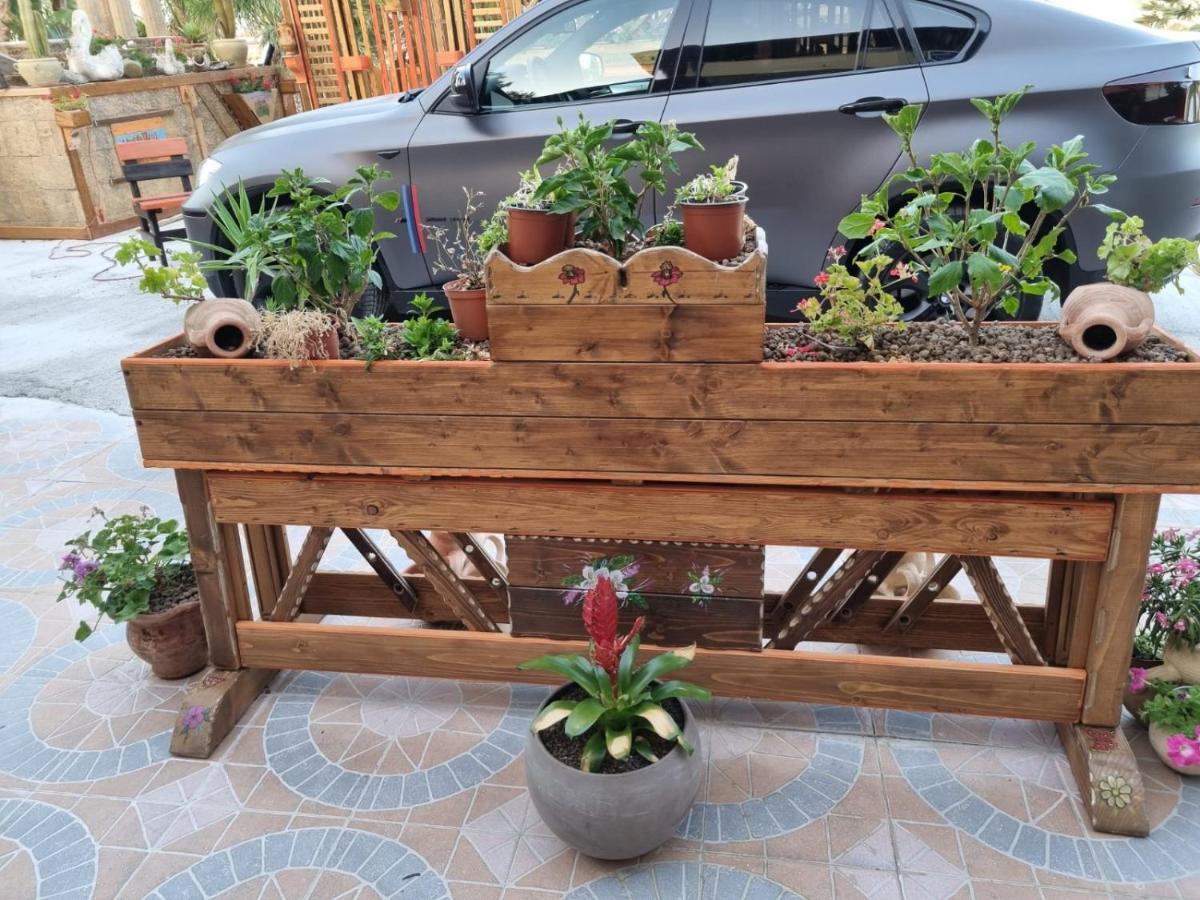 Villa Jolanda & Carmelo Agrigento Dış mekan fotoğraf